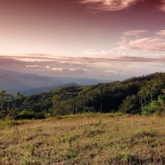 Ein Land voller Naturschutzgebiete – Costa Rica