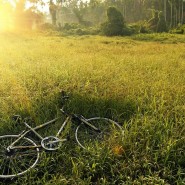 Unberührte Natur im Baltikum mit dem Velo entdecken