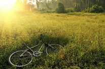 Unberührte Natur im Baltikum mit dem Velo entdecken